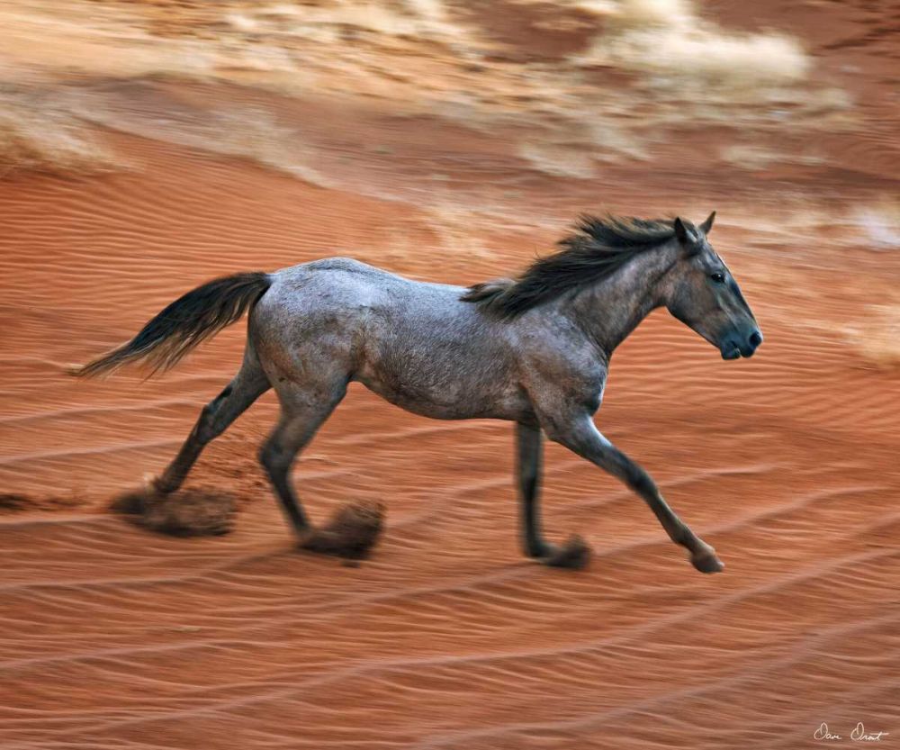 Similar wall art painting: 237901