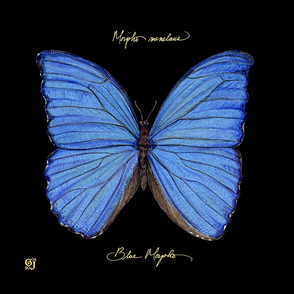 Similar wall art painting: 227021