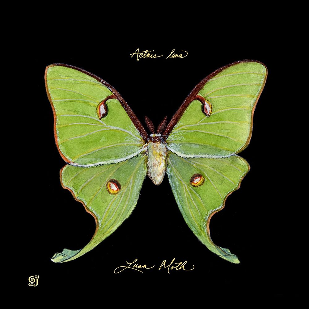 Similar wall art painting: 227022