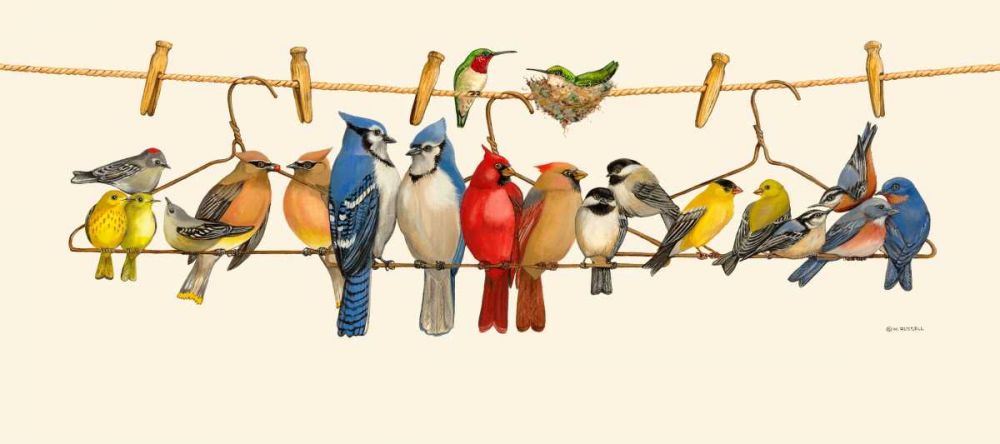 Wall Art Painting id:237976, Name: Bird Menagerie II, Artist: Russell, Wendy