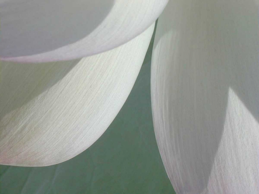 Similar wall art painting: 148900