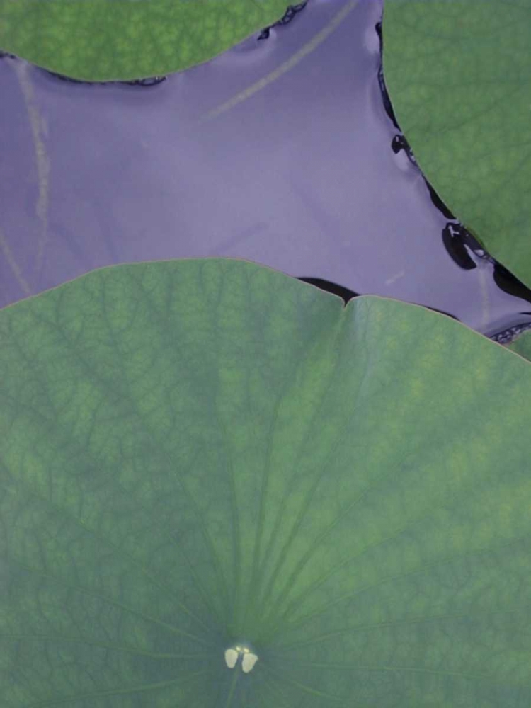 Similar wall art painting: 148909