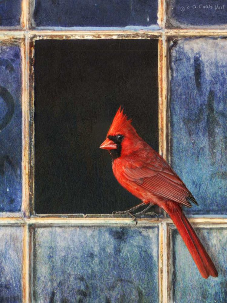 Wall Art Painting id:238343, Name: Cardinal Window, Artist: Vest, Chris