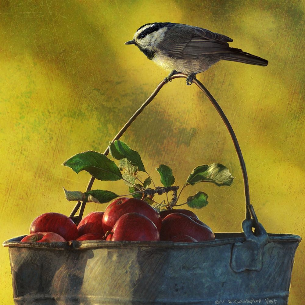 Wall Art Painting id:227042, Name: Apples and Chickadee, Artist: Vest, Chris