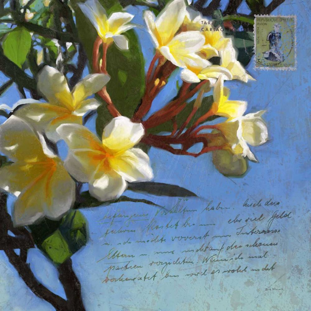 Wall Art Painting id:238591, Name: Plumeria and Postage III, Artist: Novak, Rick