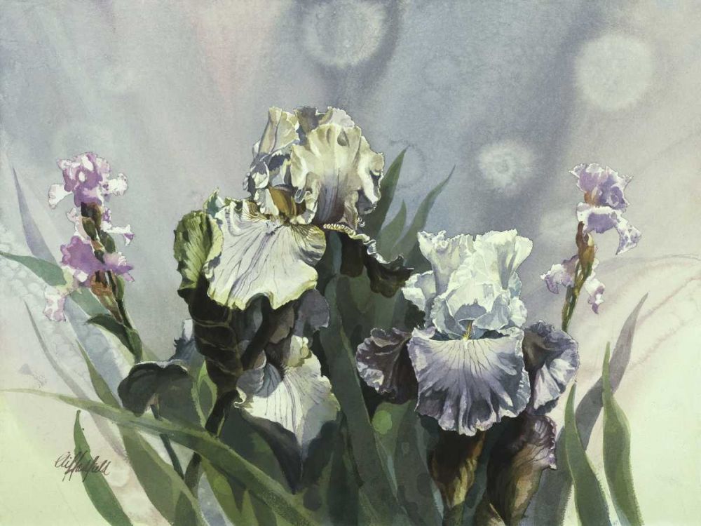 Wall Art Painting id:238764, Name: Hadfield Irises III, Artist: Hadfield, Clif
