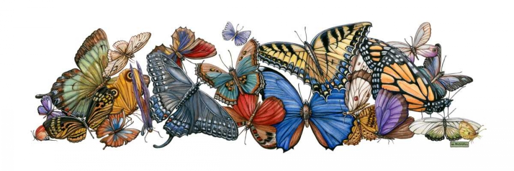 Wall Art Painting id:35187, Name: Wings of Splendor I, Artist: Russell, Wendy