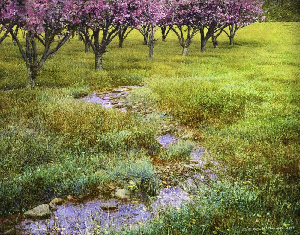 Wall Art Painting id:238887, Name: Summer Path, Artist: Vest, Chris