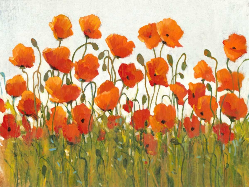 Wall Art Painting id:35198, Name: Rows of Poppies I, Artist: OToole, Tim