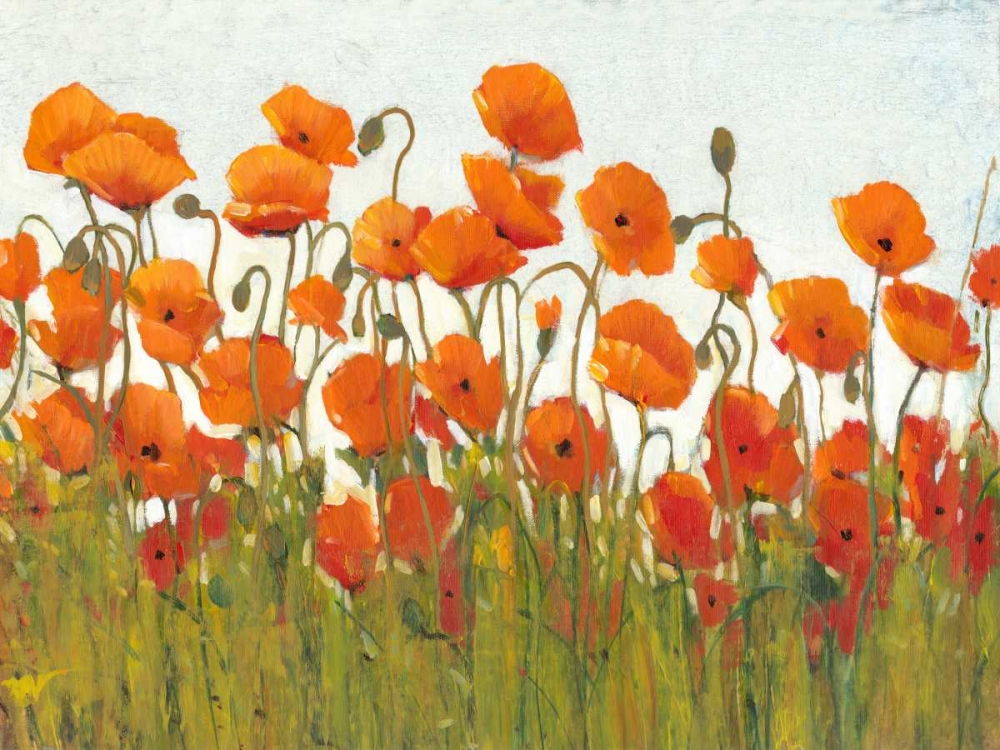 Wall Art Painting id:35199, Name: Rows of Poppies II, Artist: OToole, Tim