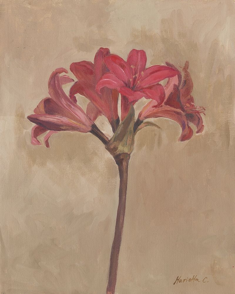 Wall Art Painting id:210724, Name: Blooms and Stems III, Artist: Cohen, Marietta