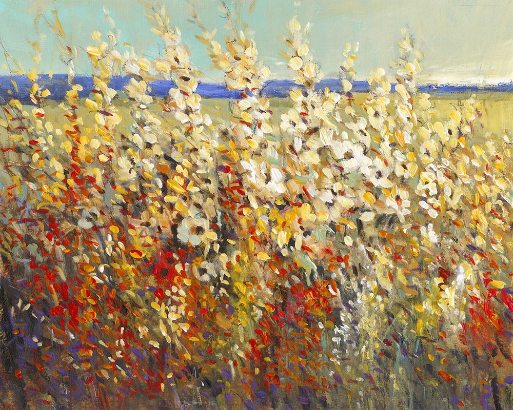 Wall Art Painting id:227070, Name: Field of Spring Flowers II, Artist: OToole, Tim
