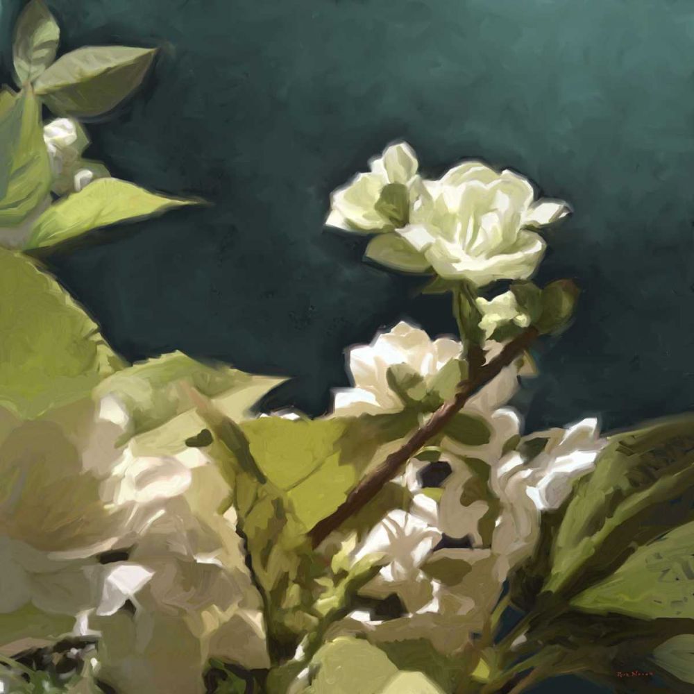 Wall Art Painting id:239133, Name: White Roses II, Artist: Novak, Rick