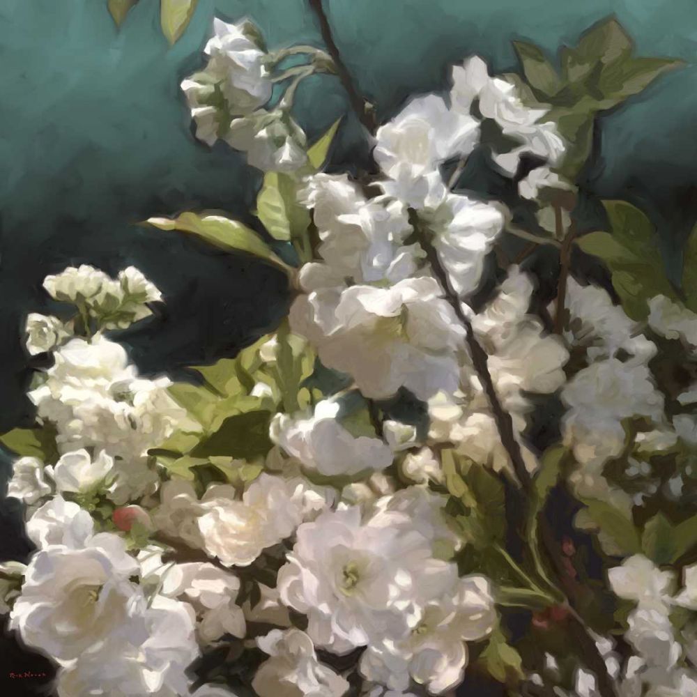 Wall Art Painting id:239134, Name: White Roses III, Artist: Novak, Rick