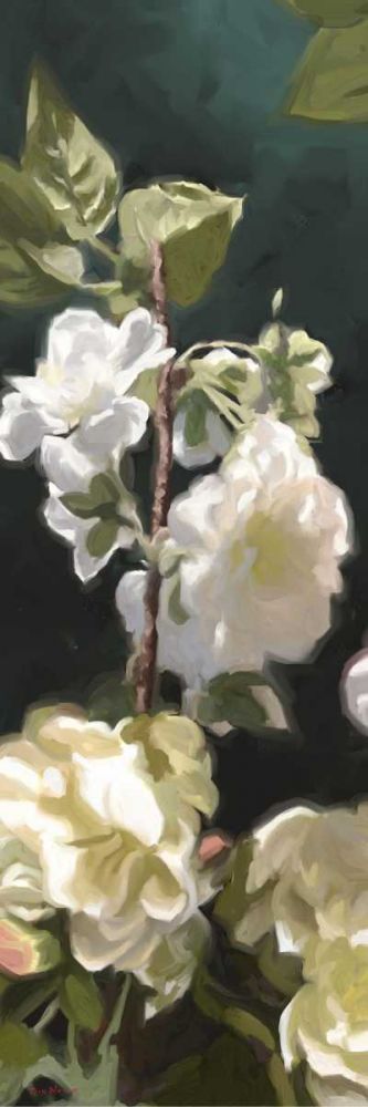 Wall Art Painting id:239135, Name: White Roses IV, Artist: Novak, Rick