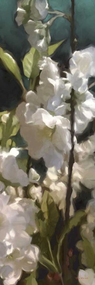 Wall Art Painting id:239136, Name: White Roses V, Artist: Novak, Rick