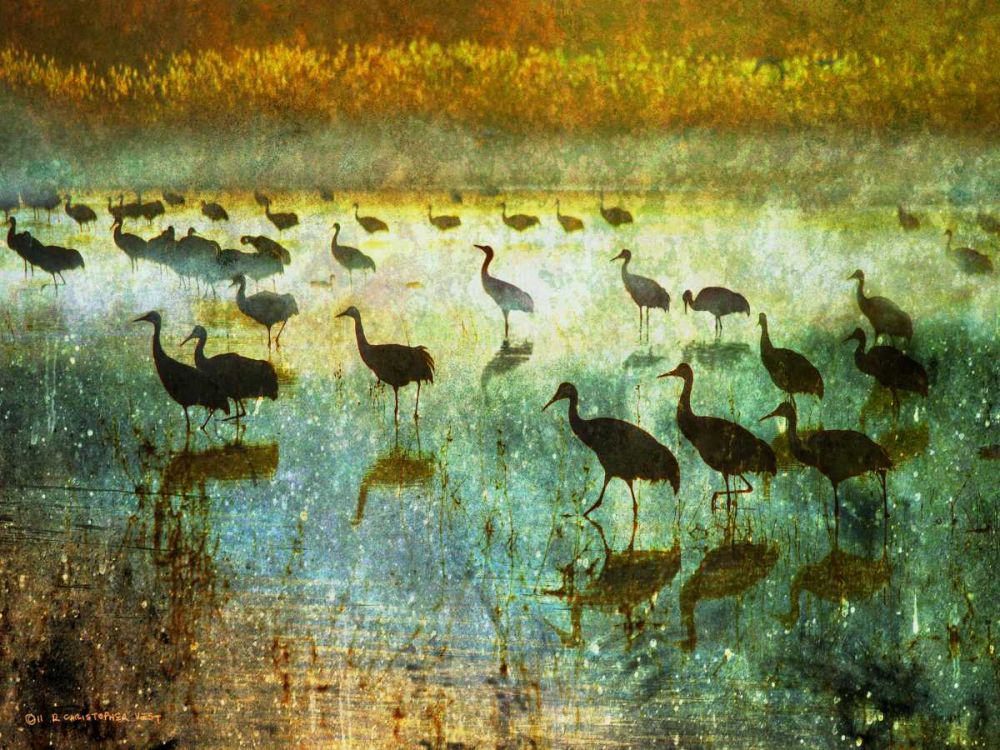 Wall Art Painting id:239143, Name: Cranes in Mist I, Artist: Vest, Chris