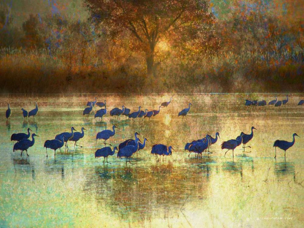 Wall Art Painting id:239144, Name: Cranes in Mist II, Artist: Vest, Chris