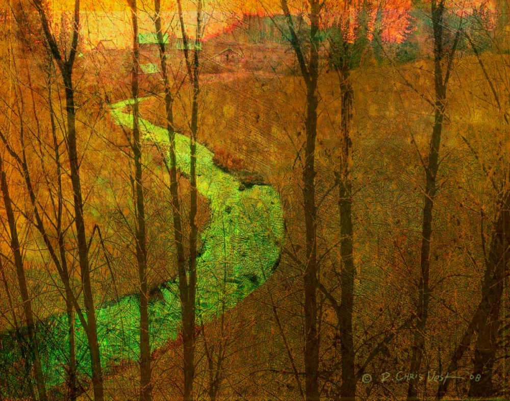 Wall Art Painting id:35231, Name: Woodblock Stream I, Artist: Vest, Chris