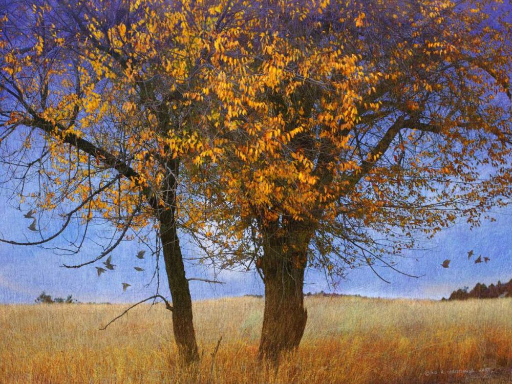 Wall Art Painting id:239145, Name: Yellow Elm, Artist: Vest, Chris