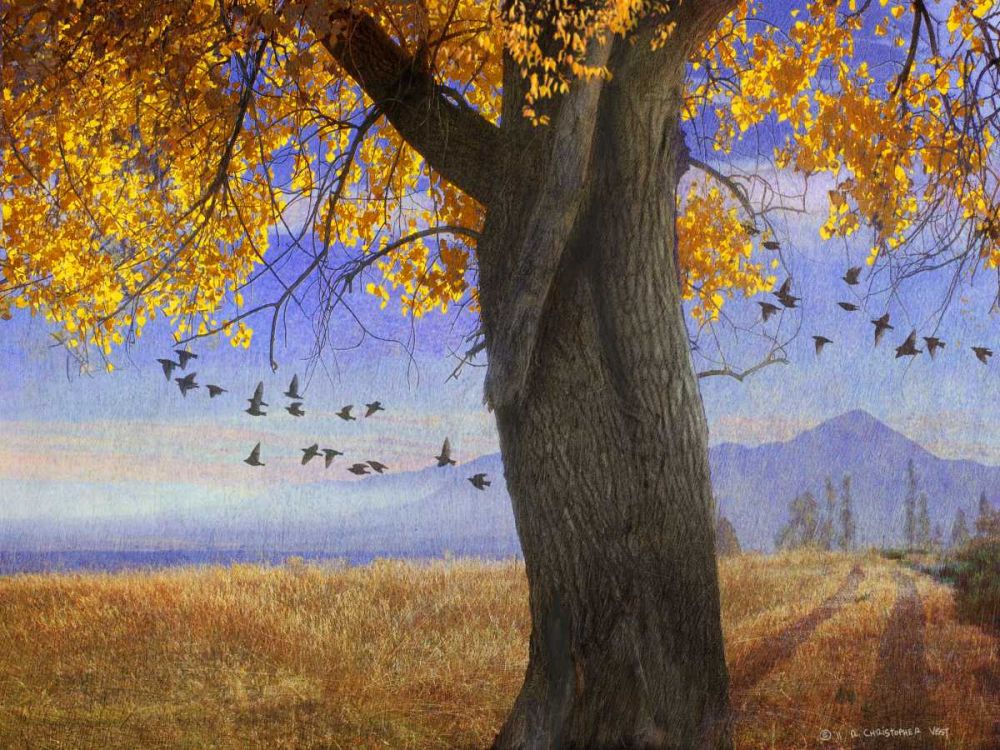 Wall Art Painting id:239146, Name: Yellow Cottonwood, Artist: Vest, Chris