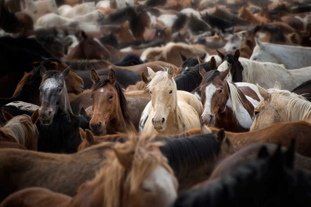 Similar wall art painting: 50177