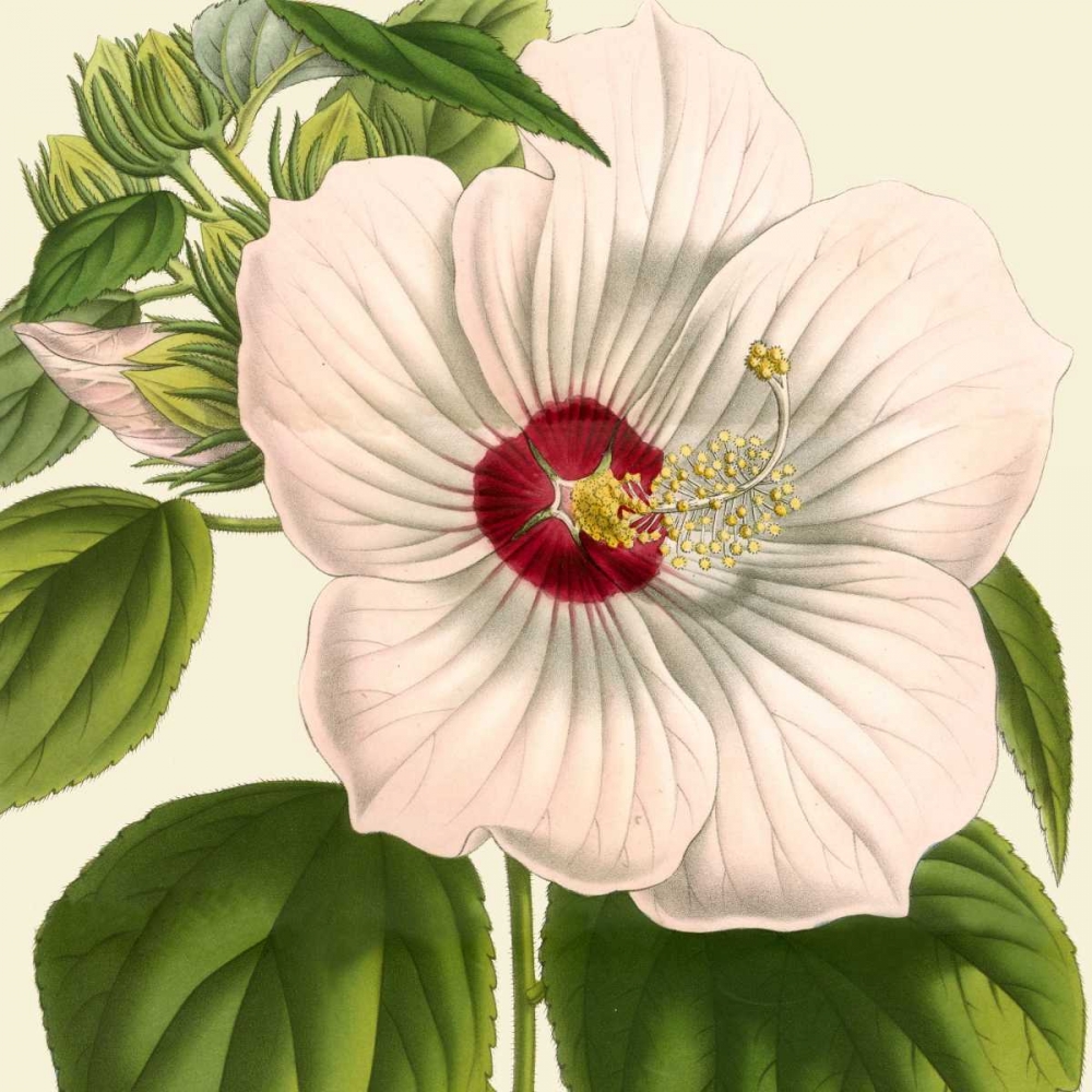 Similar wall art painting: 53252