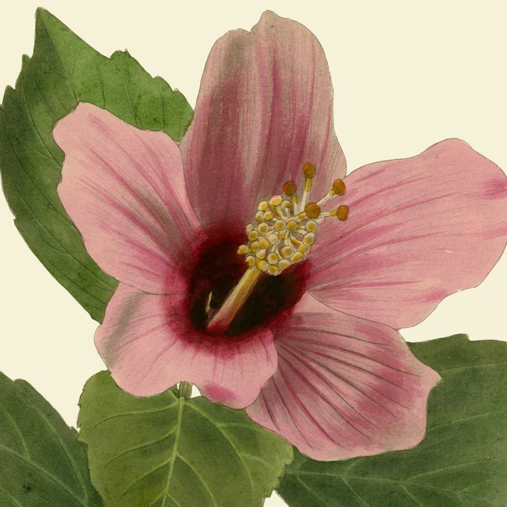 Similar wall art painting: 53253