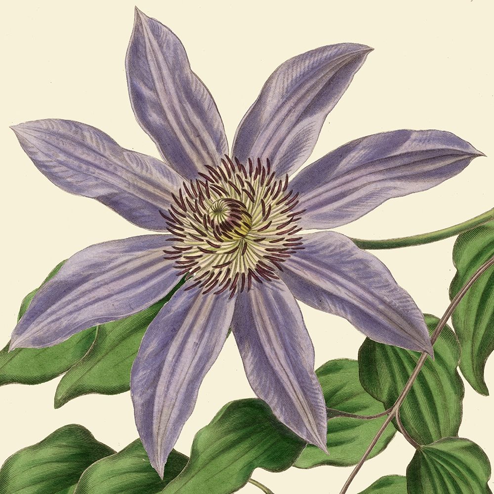 Similar wall art painting: 270388