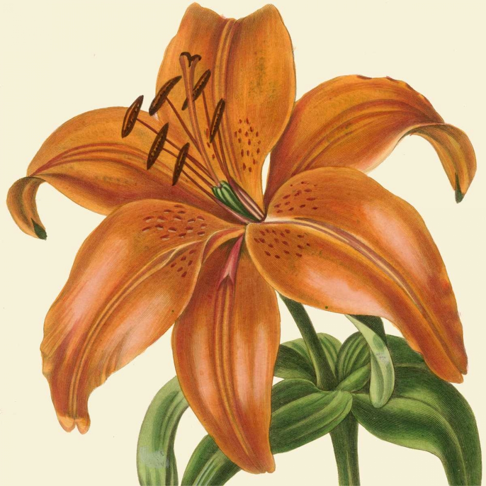 Similar wall art painting: 53254