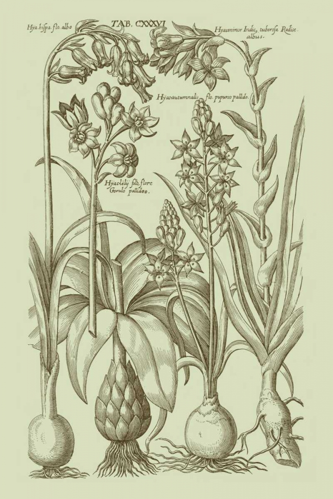 Similar wall art painting: 35476