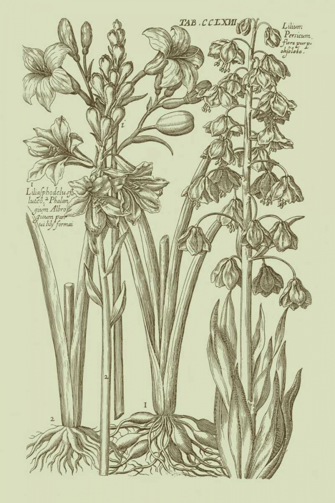 Similar wall art painting: 35477