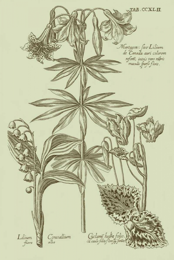 Similar wall art painting: 35479