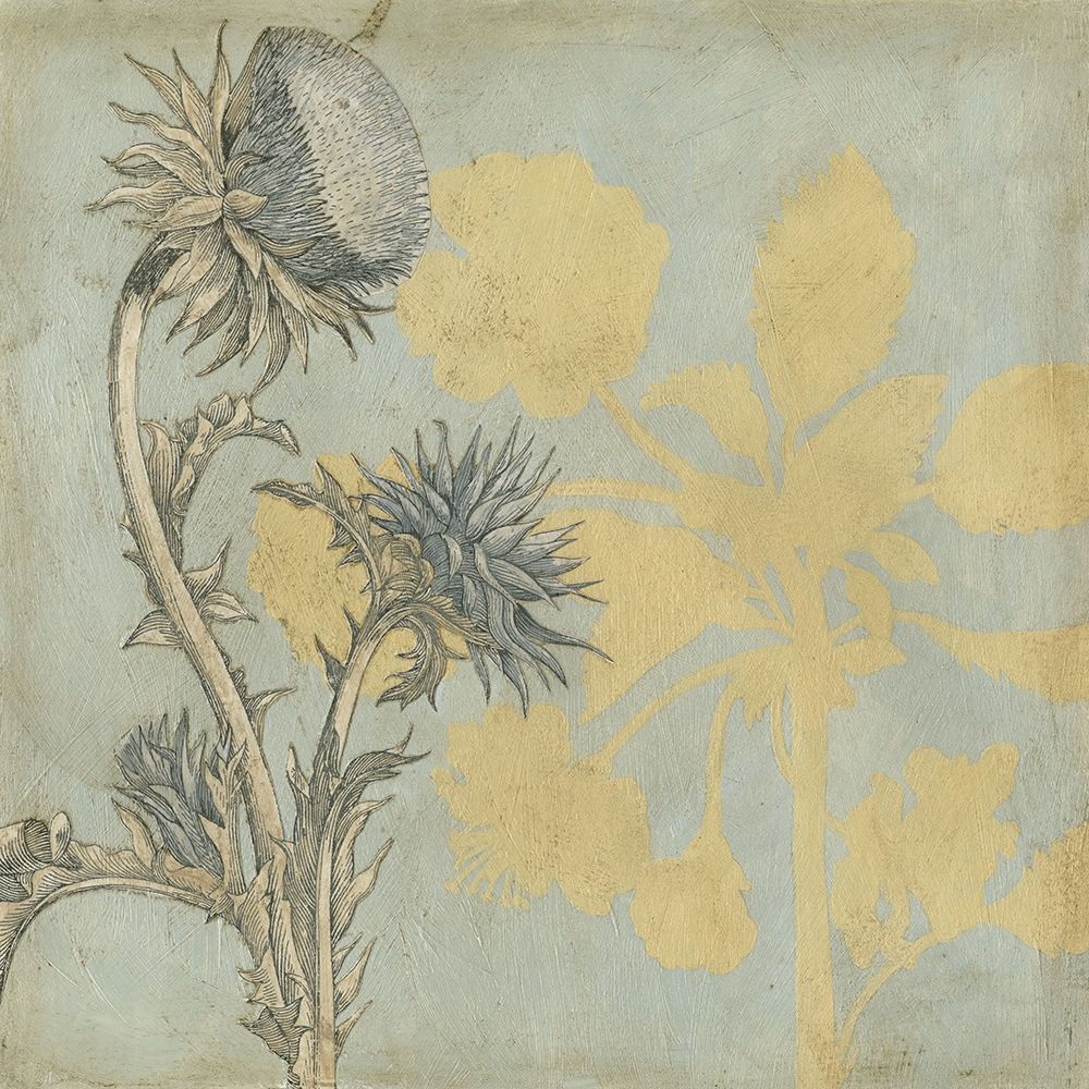 Wall Art Painting id:227088, Name: Shadow Floral I, Artist: Meagher, Megan
