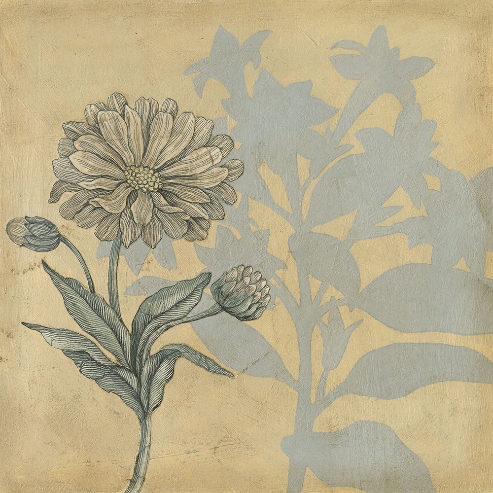 Wall Art Painting id:227090, Name: Shadow Floral III, Artist: Meagher, Megan