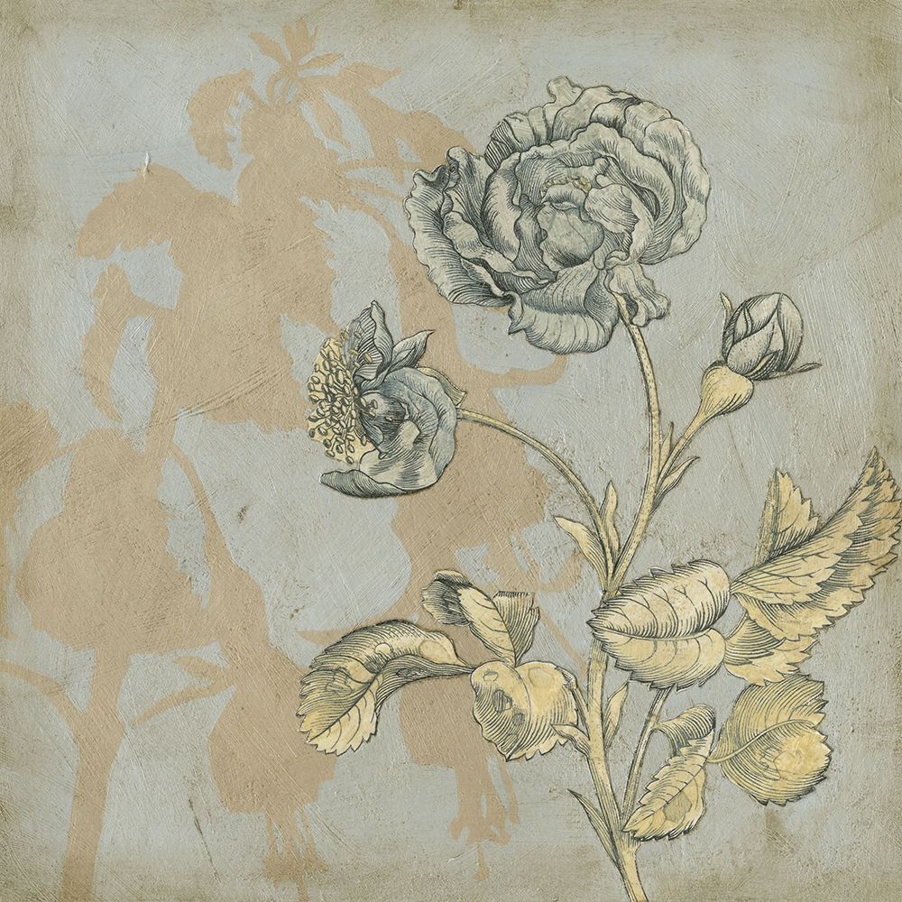 Wall Art Painting id:227091, Name: Shadow Floral IV, Artist: Meagher, Megan