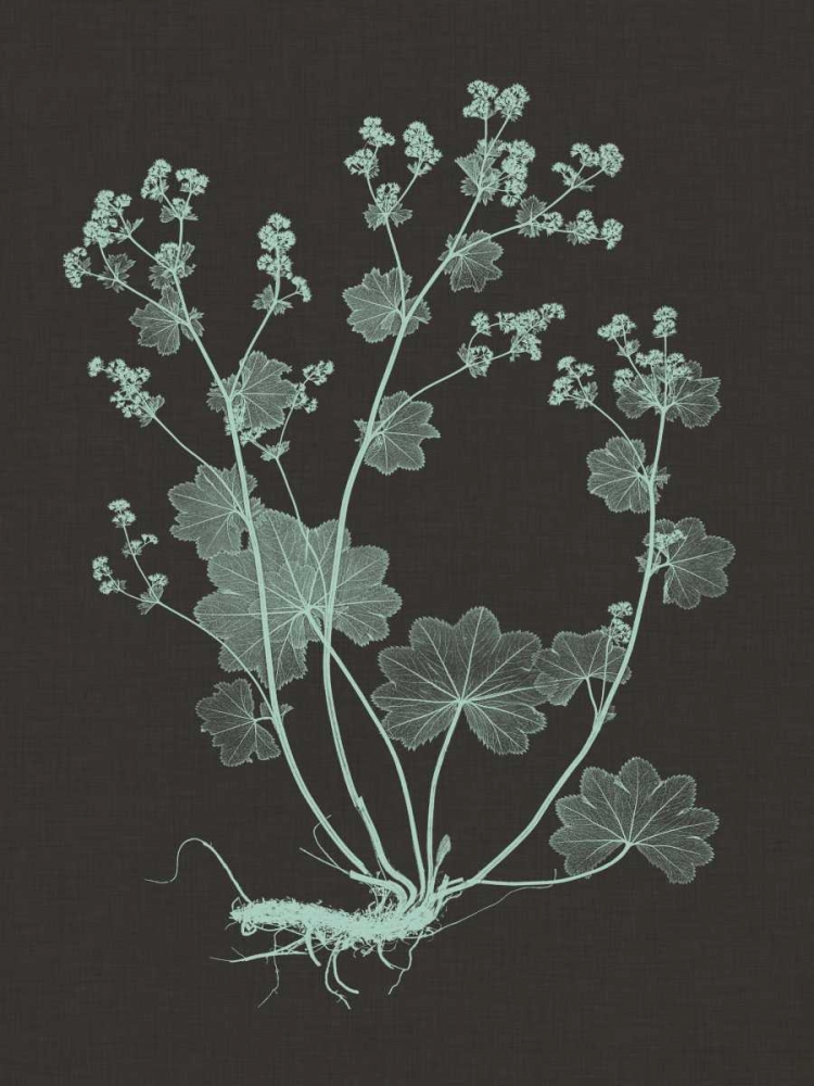 Similar wall art painting: 35809