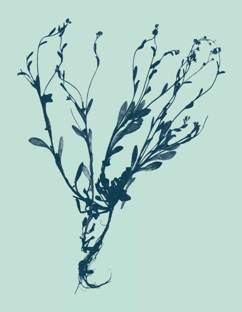 Similar wall art painting: 35818