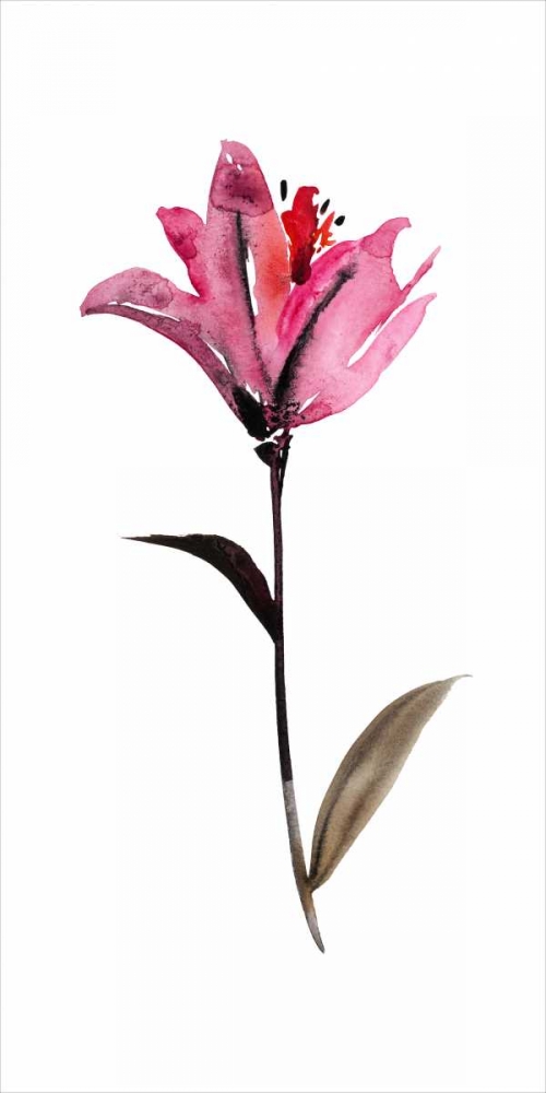 Wall Art Painting id:38507, Name: Floral Watercolor II, Artist: Mosley, Kiana