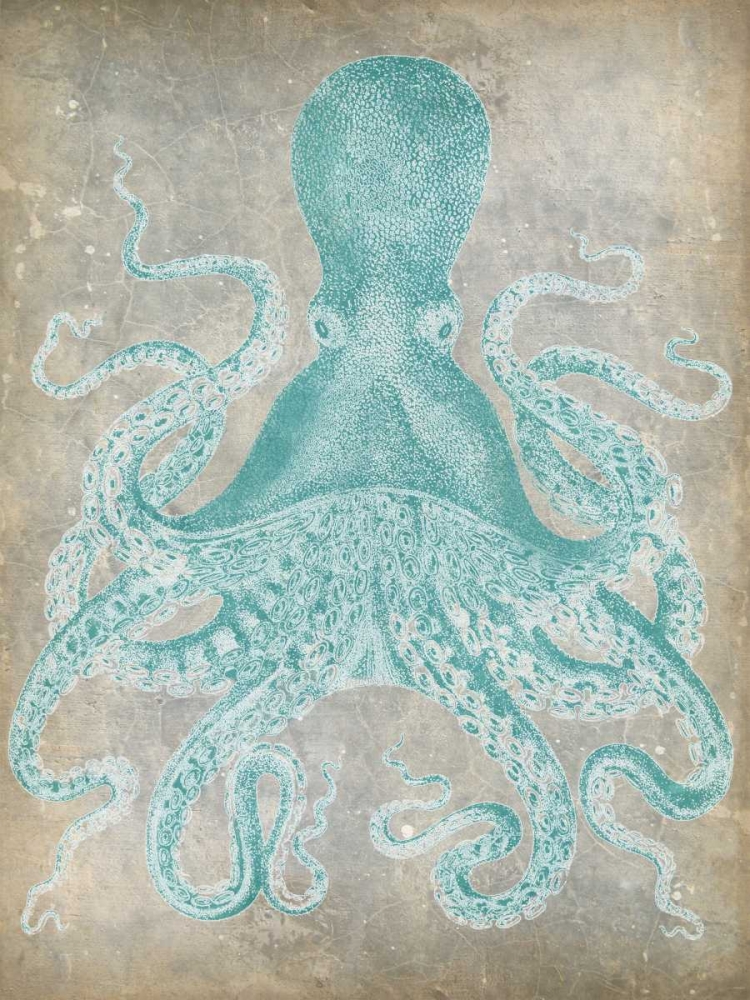 Wall Art Painting id:38569, Name: Spa Octopus I, Artist: Goldberger, Jennifer