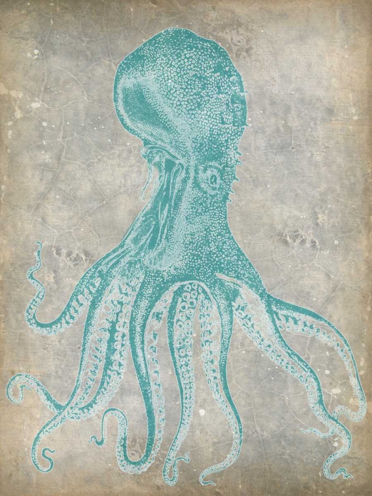 Wall Art Painting id:38570, Name: Spa Octopus II, Artist: Goldberger, Jennifer