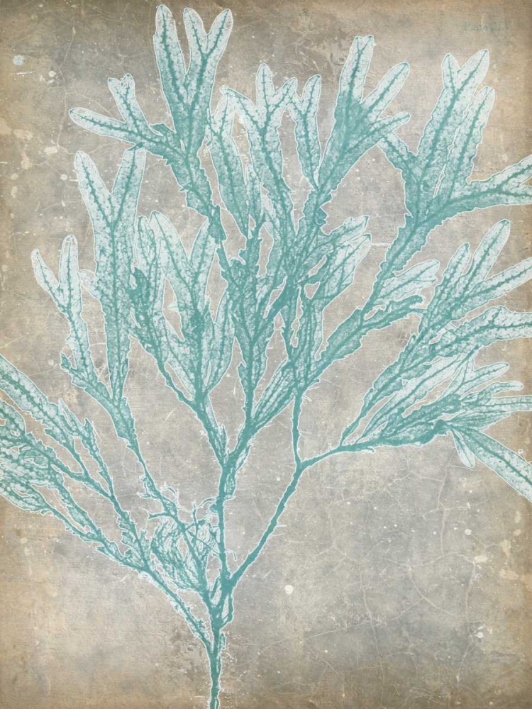 Wall Art Painting id:61032, Name: Spa Seaweed I, Artist: Goldberger, Jennifer