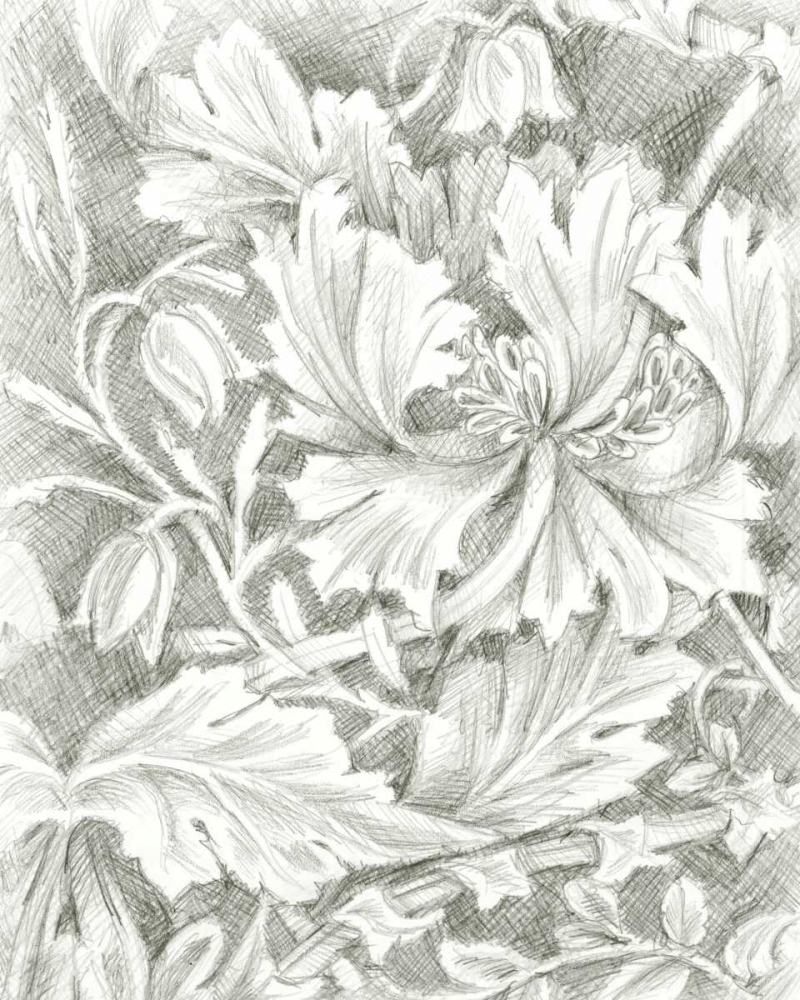 Wall Art Painting id:38582, Name: Floral Pattern Sketch I, Artist: Harper, Ethan