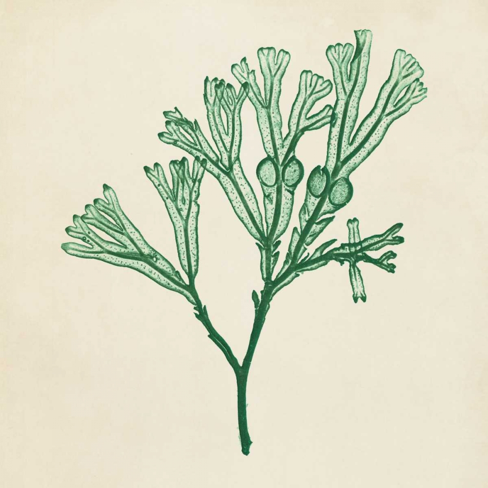 Similar wall art painting: 38620