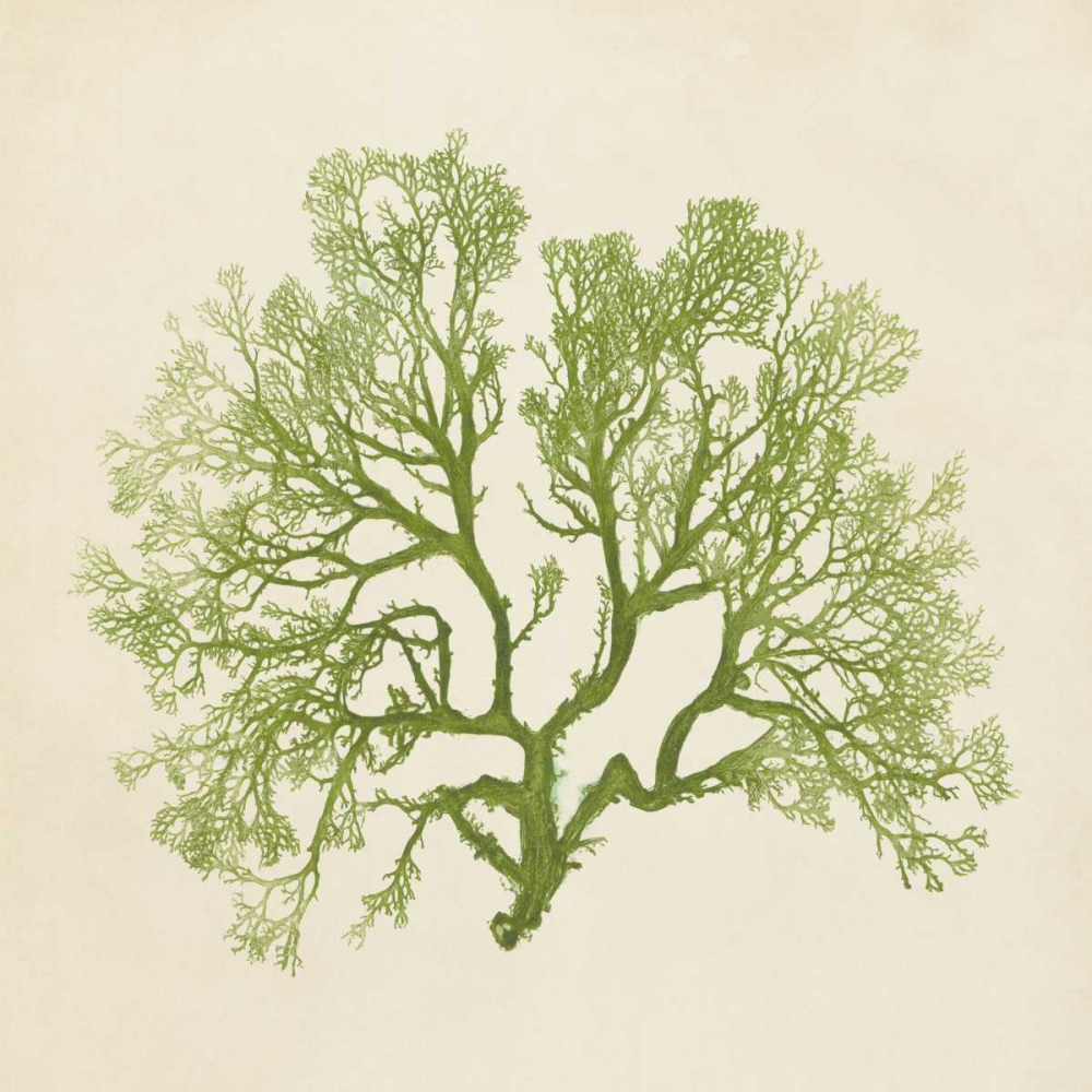 Similar wall art painting: 38622