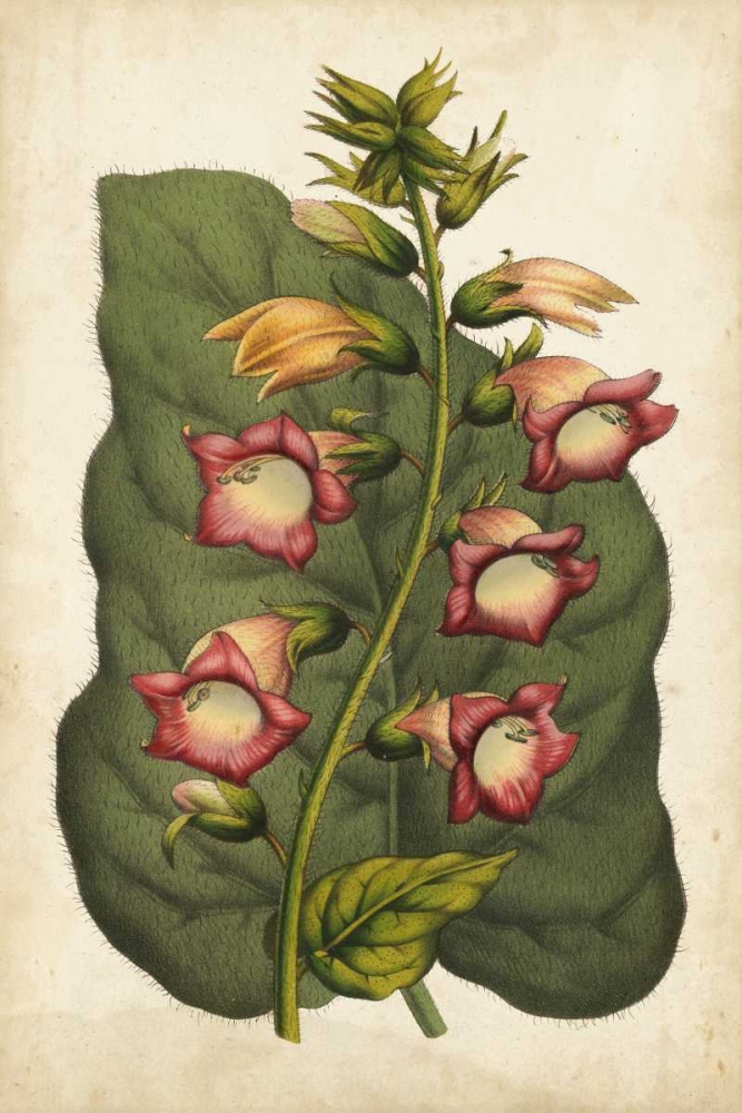 Similar wall art painting: 38757