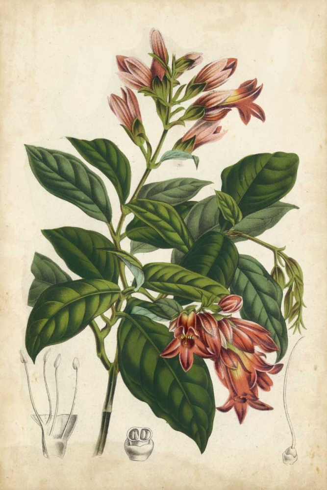 Similar wall art painting: 38759