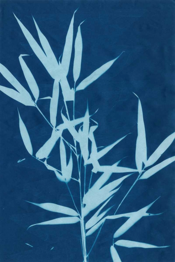 Wall Art Painting id:38782, Name: Cyanotype No.2, Artist: Stramel, Renee W.