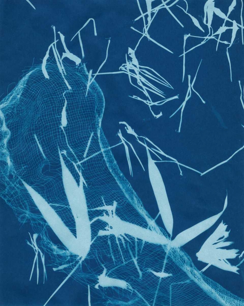 Wall Art Painting id:38785, Name: Cyanotype No.5, Artist: Stramel, Renee W.