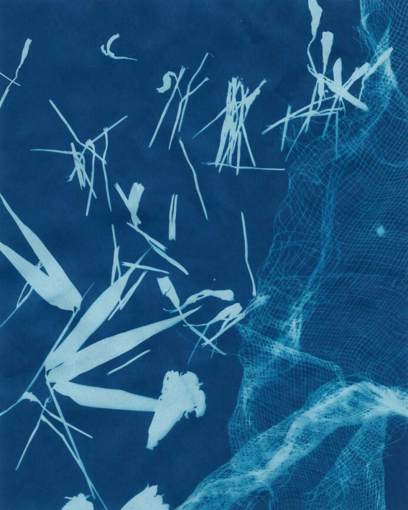 Wall Art Painting id:38786, Name: Cyanotype No.6, Artist: Stramel, Renee W.